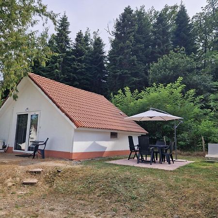 Mon Chalet En Ariege Avec Piscine Daumazan-sur-Arize Bagian luar foto