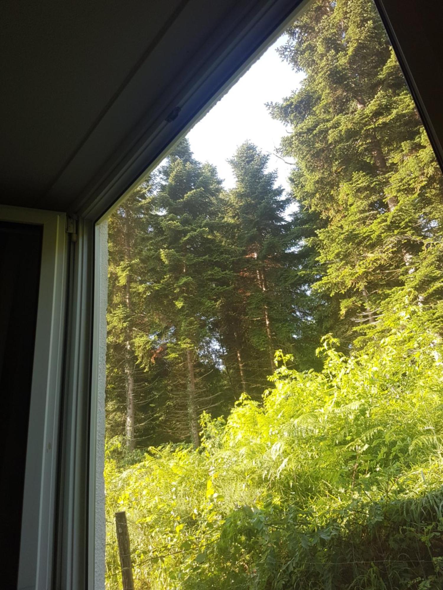 Mon Chalet En Ariege Avec Piscine Daumazan-sur-Arize Bagian luar foto