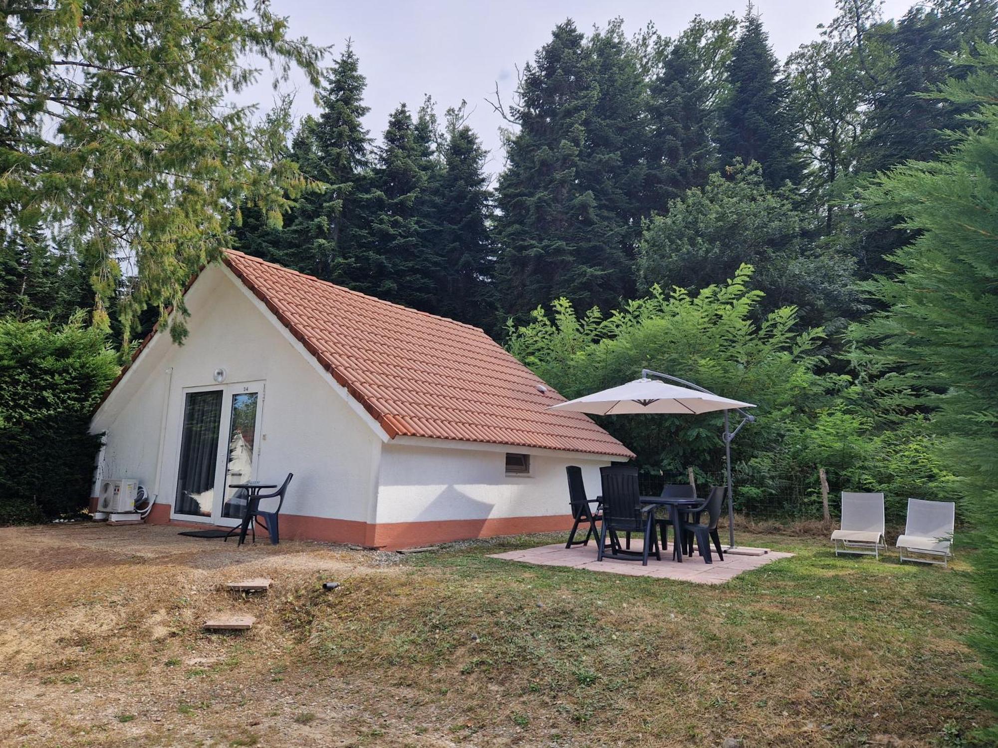 Mon Chalet En Ariege Avec Piscine Daumazan-sur-Arize Bagian luar foto